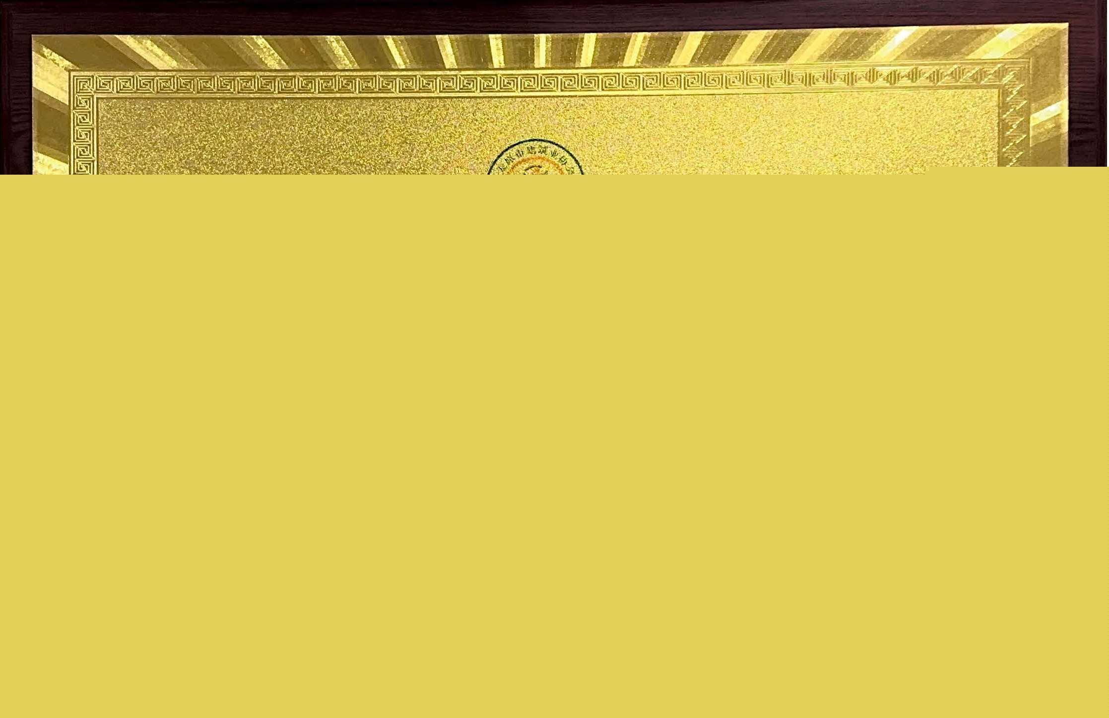 優(yōu)秀企業(yè)